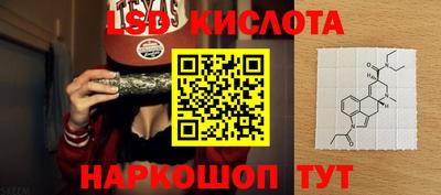 твердый Бердск