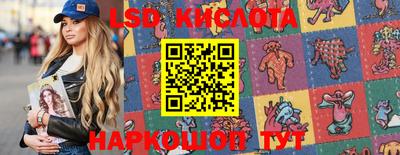 твердый Бердск