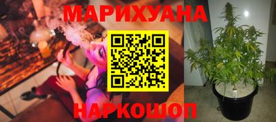 твердый Бердск