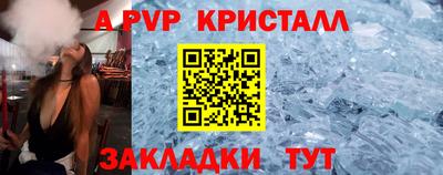 твердый Бердск