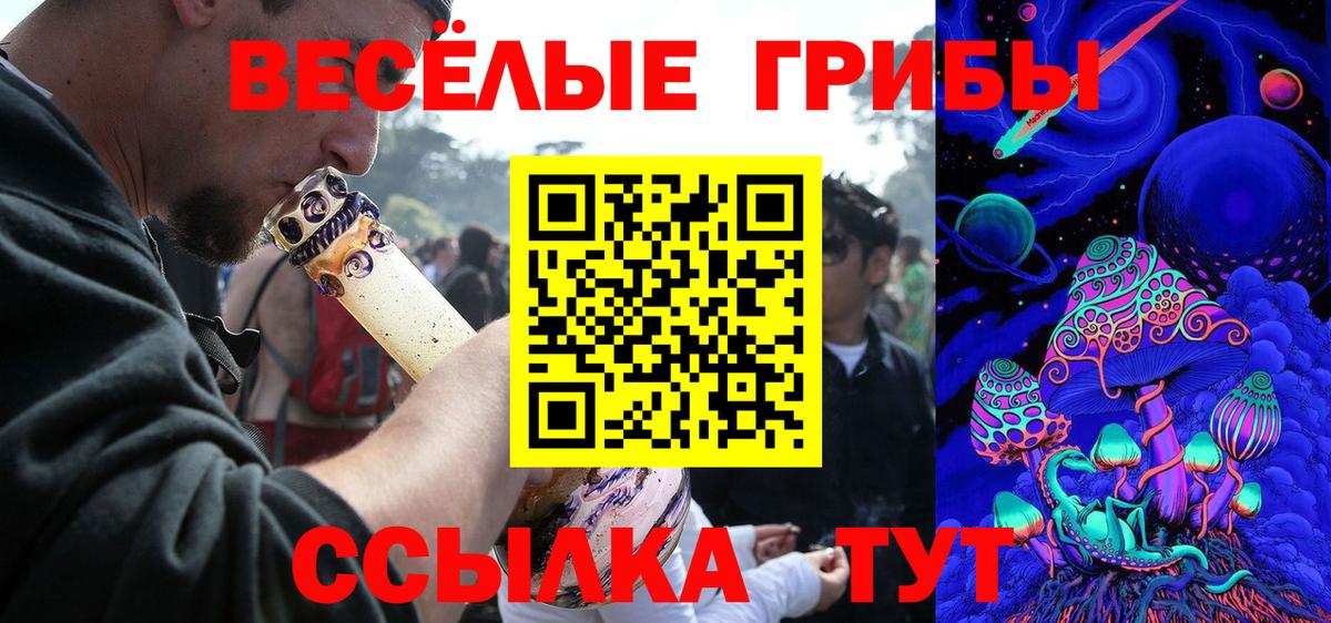Псилоцибиновые грибы MAGIC MUSHROOMS  Вход с VPN  где купить   Видное 